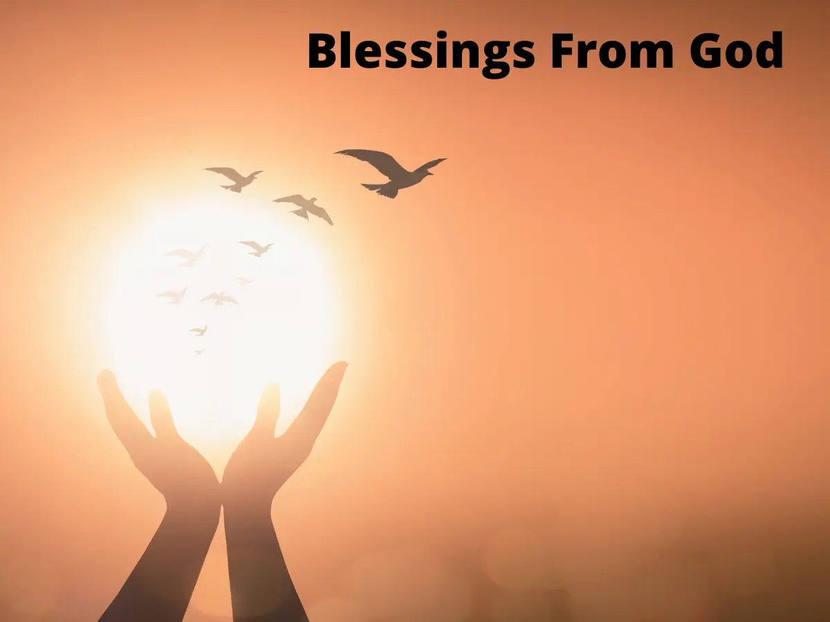 You are currently viewing 43 Powerful Blessings From God Bible Verses To Count Your Blessings
